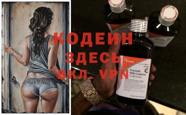 хмурый Осинники