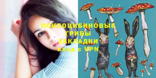 мет Балахна