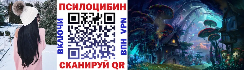 купить закладку  Черняховск  Галлюциногенные грибы мухоморы 